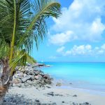 Planifier votre voyage en Martinique : saisons, climat et moments idéaux