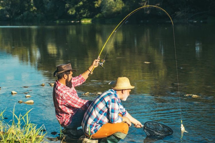 Tourisme dans le Nord–Pas-de-Calais : pourquoi faire la pêche à la truite ?